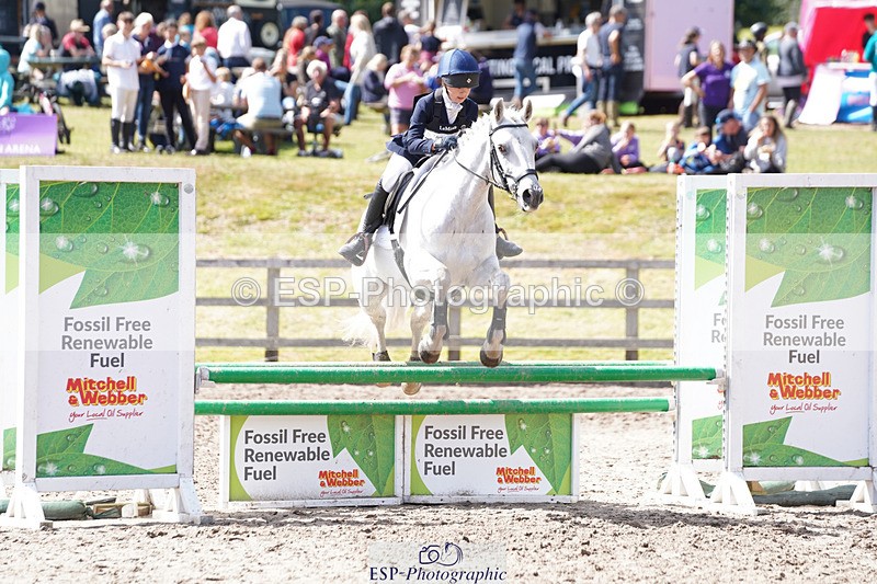 240824X-133800-27846 - 80cm Round 1 13.00 to 14.00