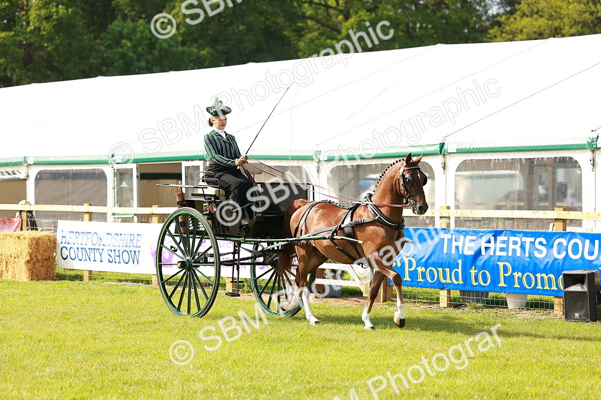 SBM_01139 - Class 2-4 - HOYS Private Driving