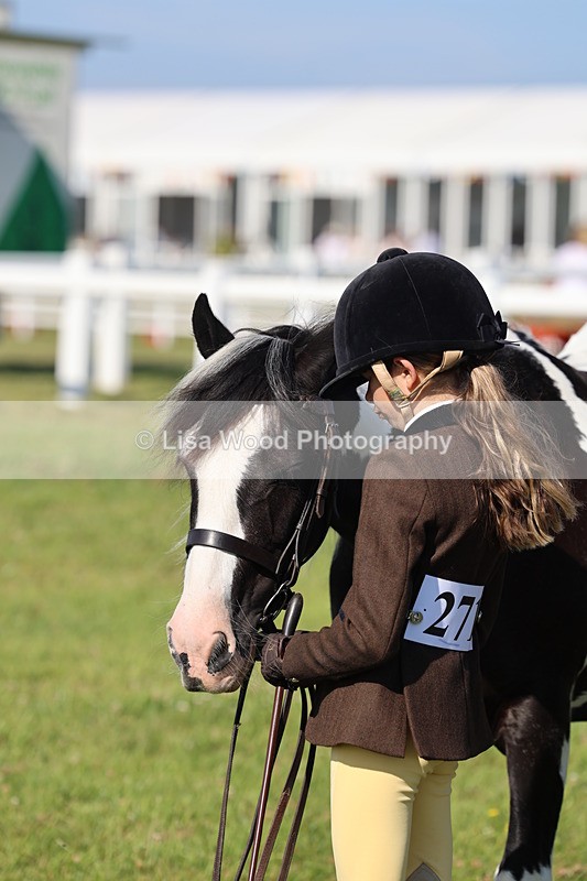 IMG_1573 - Class 30: Ridden Native/Trad Coloured Pony