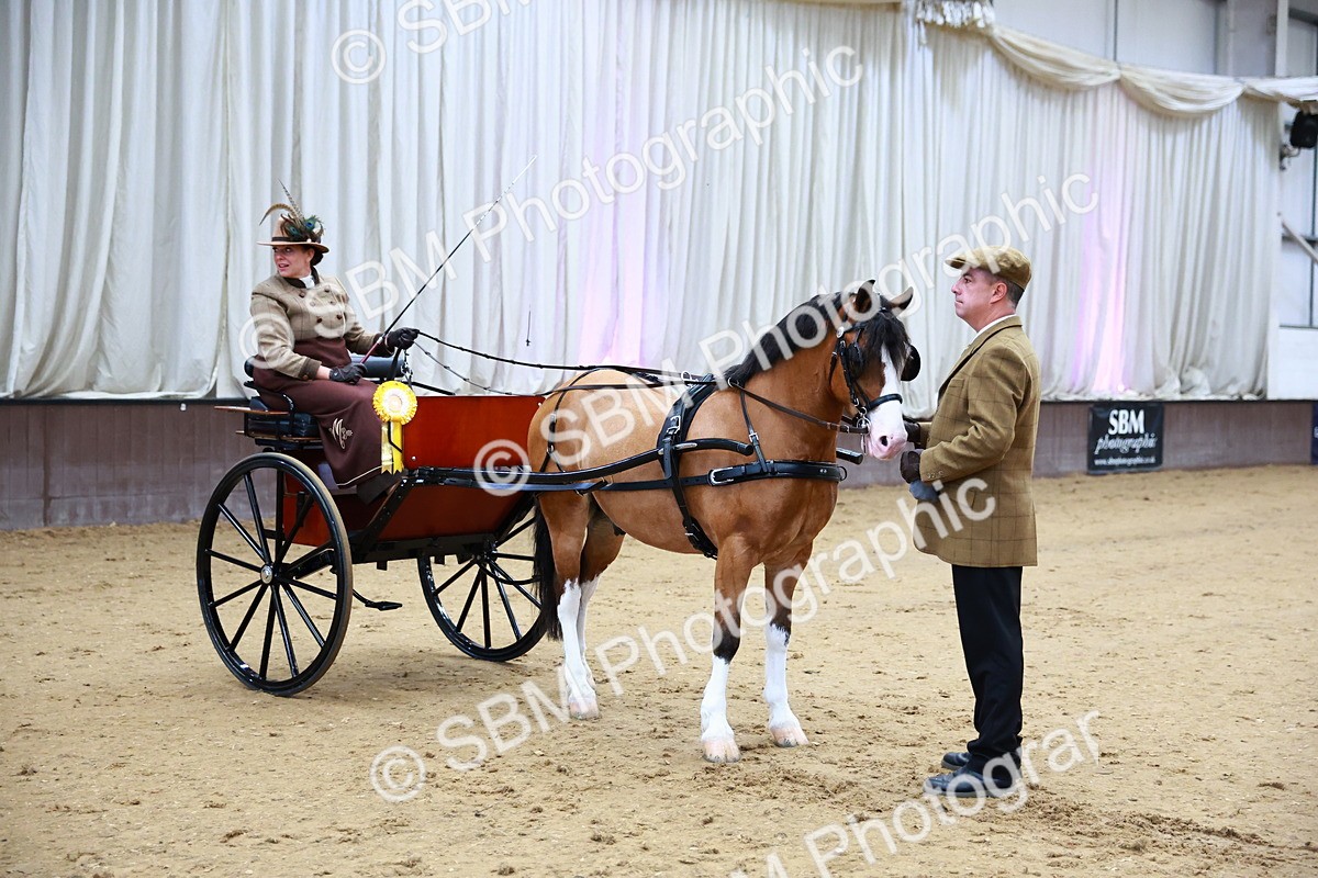 SBM_000214 - Class 3 - Alison Thomas Memorial Lady Whip