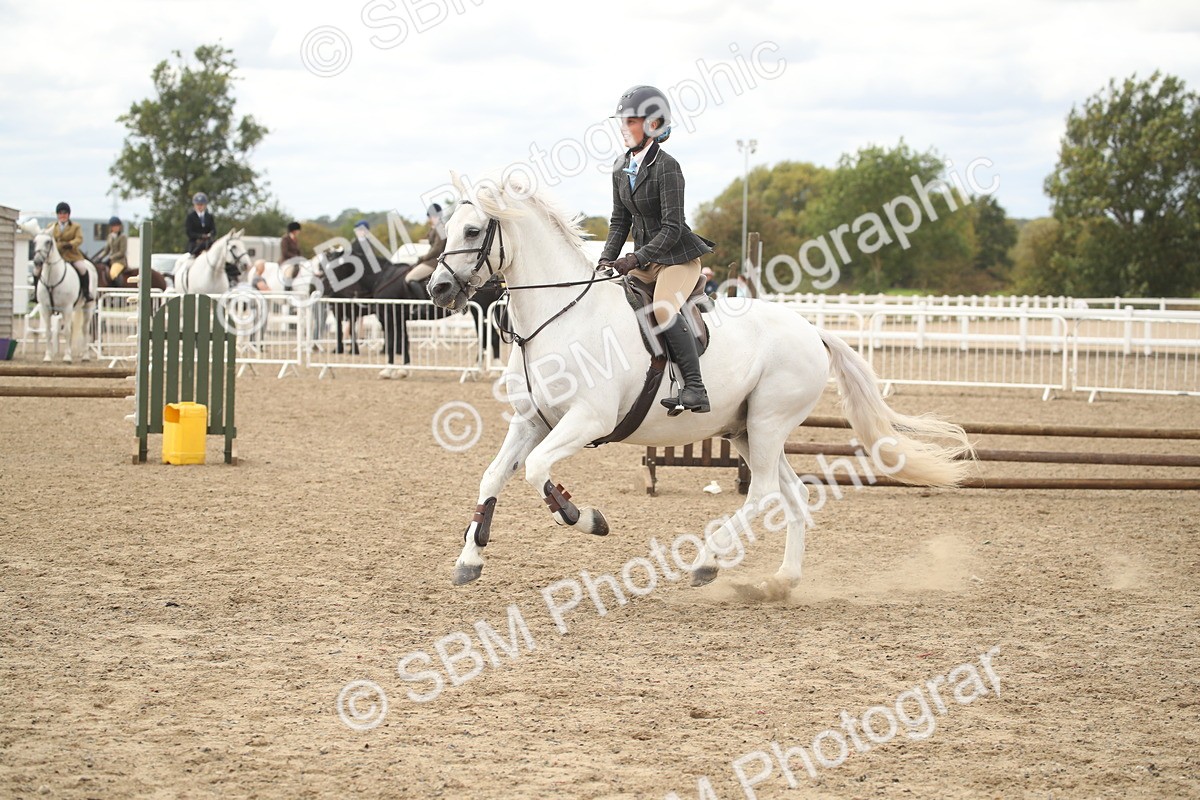 SBM_17690 - Class 508a - Working Veteran 70cm (15-19)