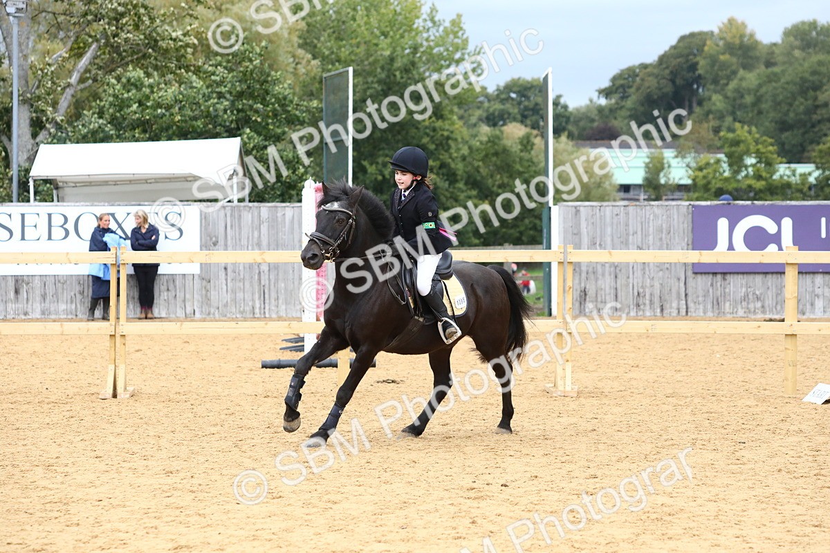 SBM_68221 - J3b - Mini Tour Junior Pony 40cm Championship
