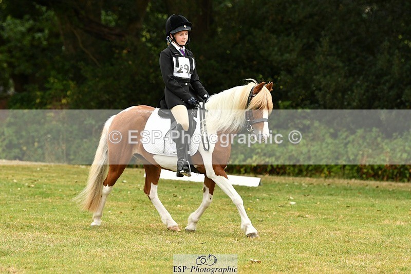 250820A-114707-05279 - 11am to 12