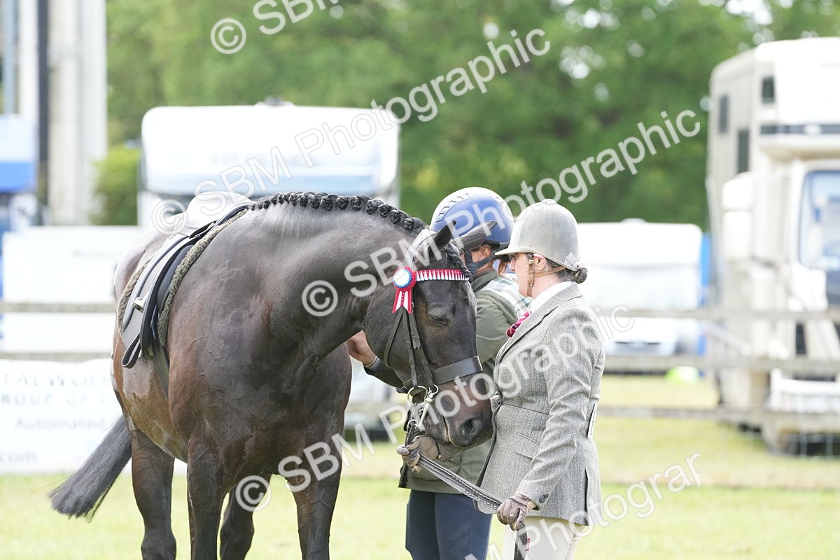 SBM_16197 - Class 105-106 - RIHS Riding Horses