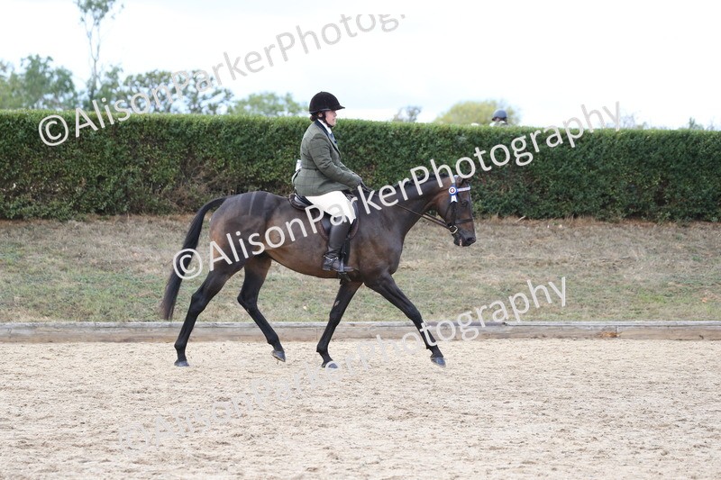 20260831-2604 - Class 15 - Ridden Retraining of Racehorses