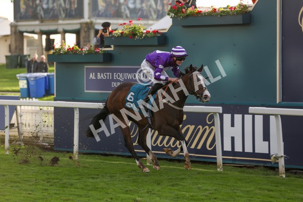 131023-Race 6-Wen Moon-9904 - Race 6 5.00pm Copper Knight - Winning Most Horse At York Handicap