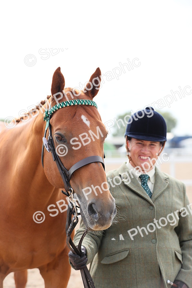 SBM_15956 - Class 313 IH Retired Racehorse