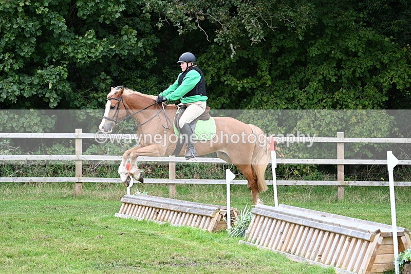 WJ7_7804 - 40cm Time 10:49 to 11:18