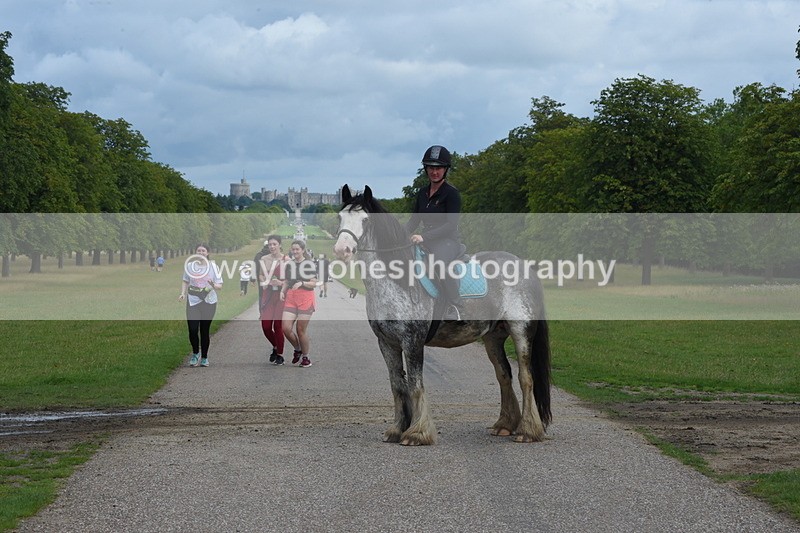 TT3_9071 - Time at Crossing 09:22 to 11:26