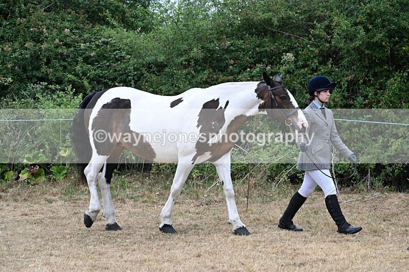 WJ7_8621 - Class 4a Prettiest Mare 14.2hh and over