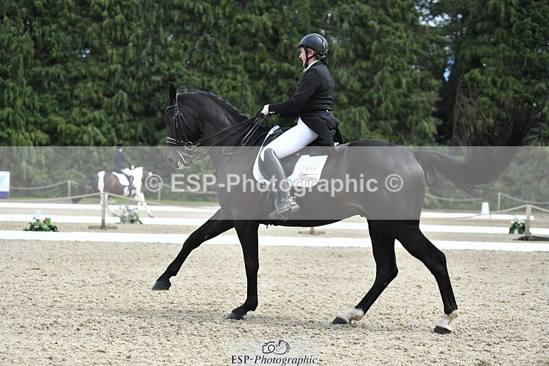 230812-140343-04588 - Cls 7 FEI PSG Bronze