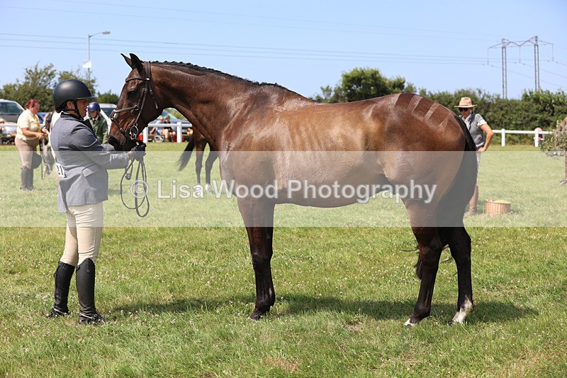 JPP_3391 - Class 22: Working Hunter 70cm