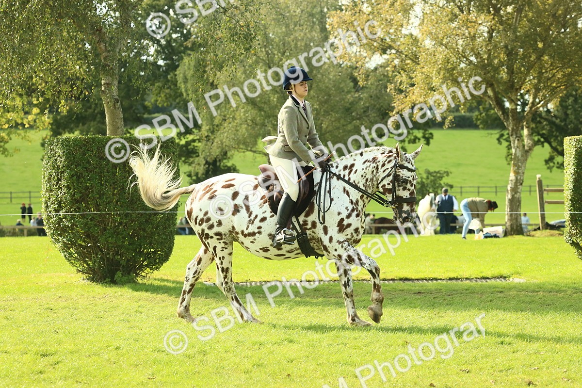 SBM_62406 - S62 - Foreign Breeds Ridden