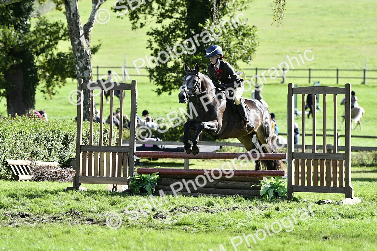 SBM_49995 - S34 - Novice & Newcomers Working Hunter