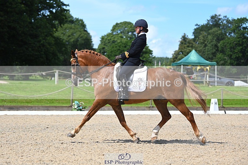 230811-123259-01315 - Cls 4 Adv Medium Silver