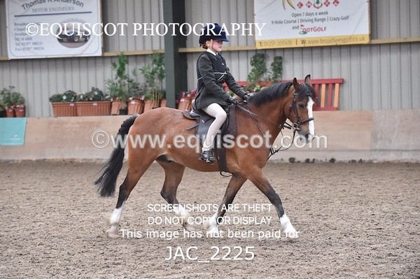 JAC_2225 - CLASS 2 Novice Working Hunter