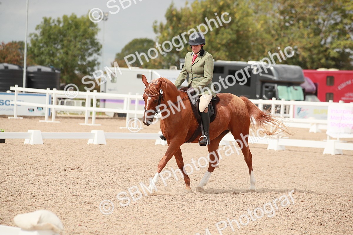 SBM_05990 - Class 32 - Novice 1