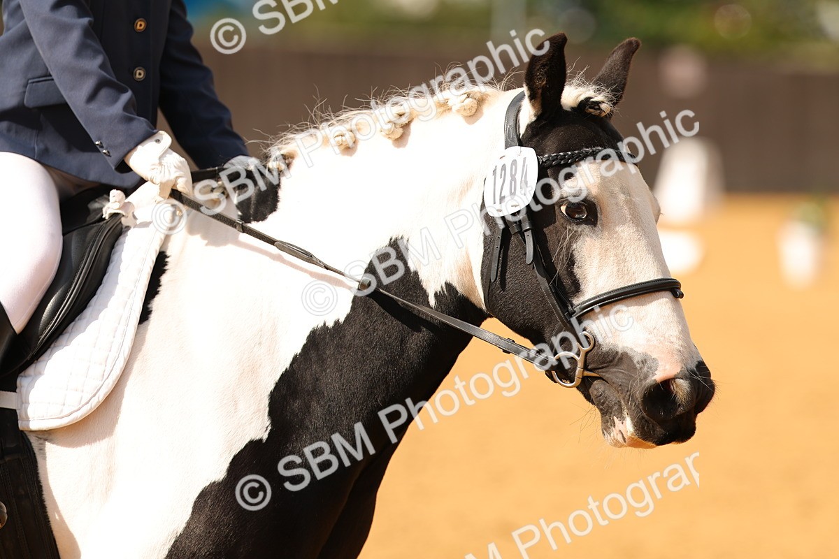SBM_48291 - D22 - Junior Championship - Intro B