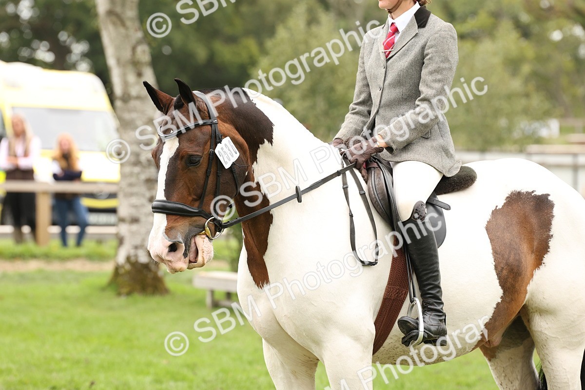 SBM_66371 - S66 - Hunter Ridden