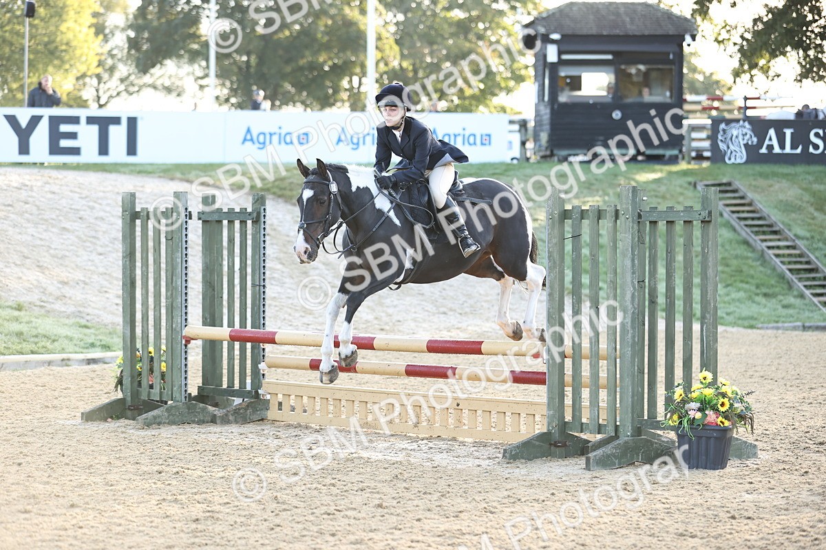 SBM_32935 - J38 - Senior 80cm Championship