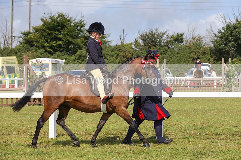 1X9A3611 - Class 29: Lead Rein SP/SHP