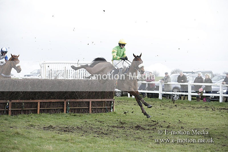 PtP 150320 0588 - New Forest Point-to-Point Larkhill 15/03/20