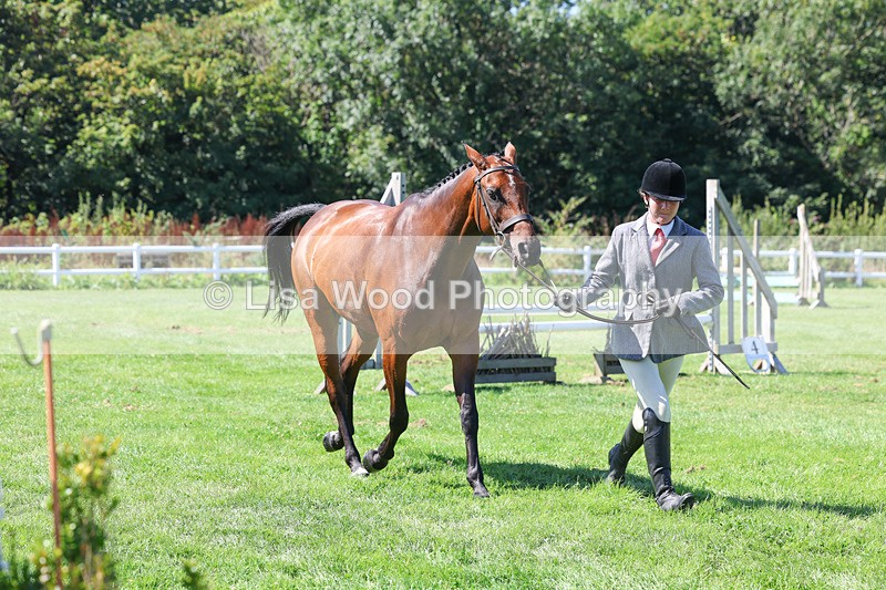 3E7A8501 - Class 4: Novice working Hunter