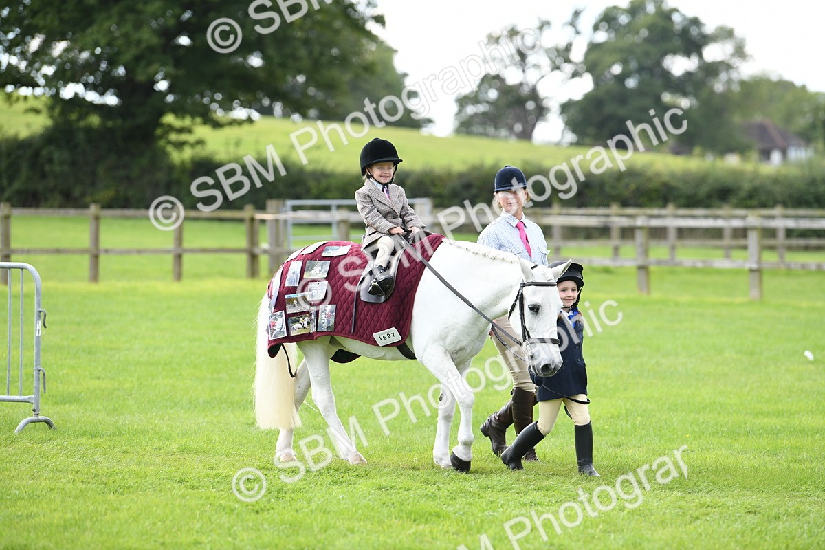 SBM_46680 - S12 - Family Horse & Pony