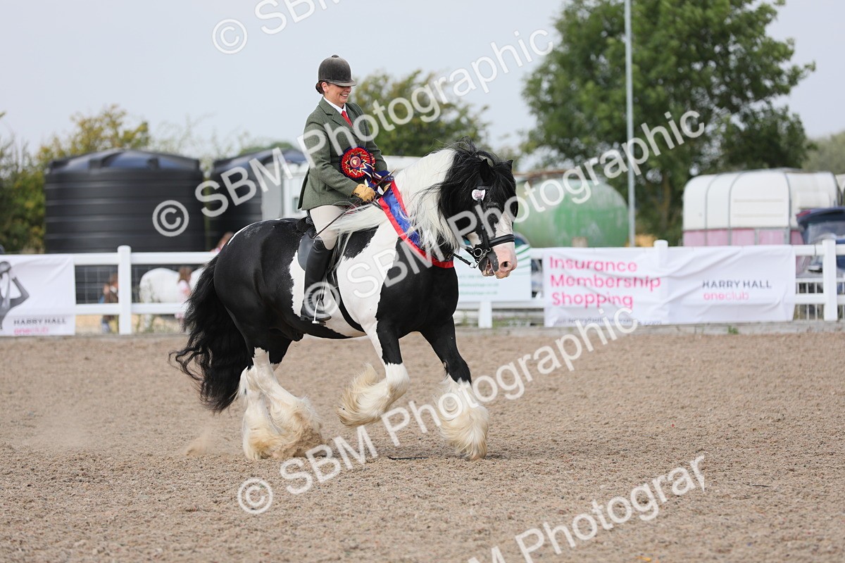 SBM_12873 - Class 307 Ridden Coloured Pony