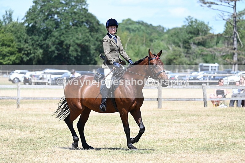 WJ7_3052 - Class 7 Riding Club Show Horse