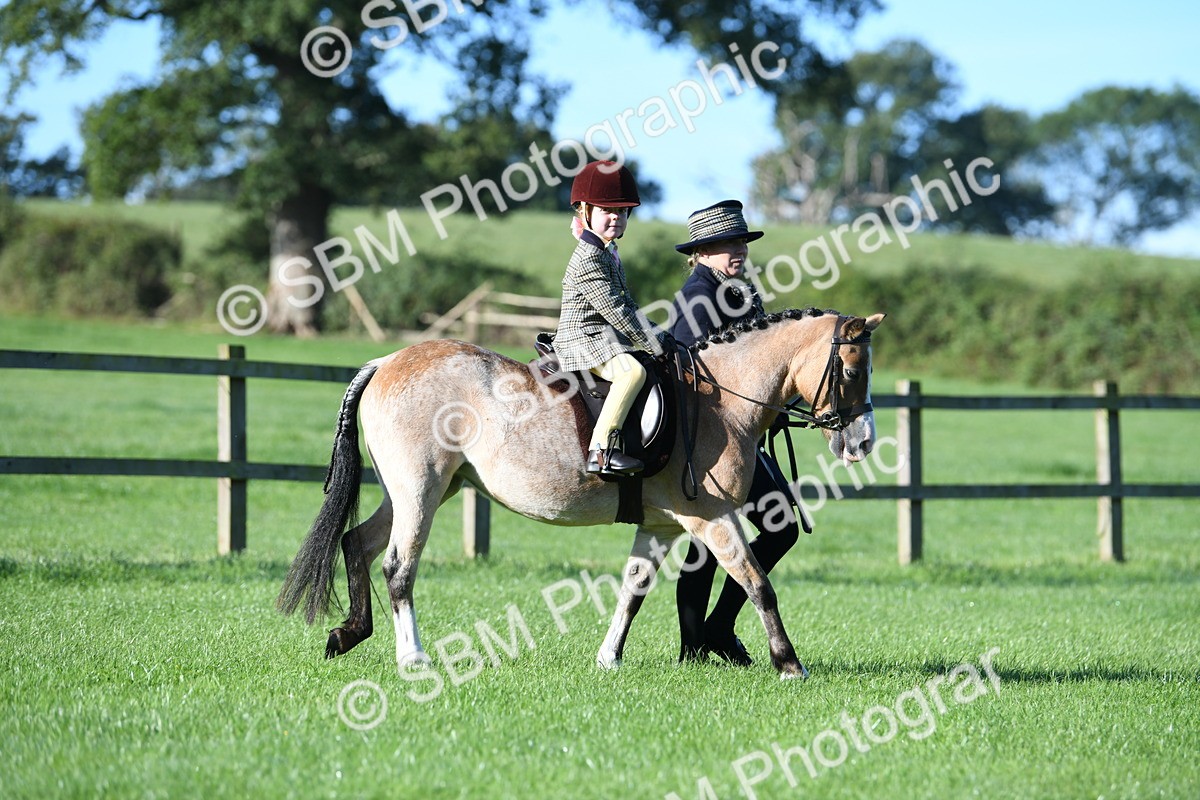SBM_35290 - S17 - Condition & Turnout - Lead Rein