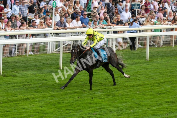 100923-Race 4-Tropical Island-3908 - Race 4 3.15pm Edge Windows Nursery Handicap at York