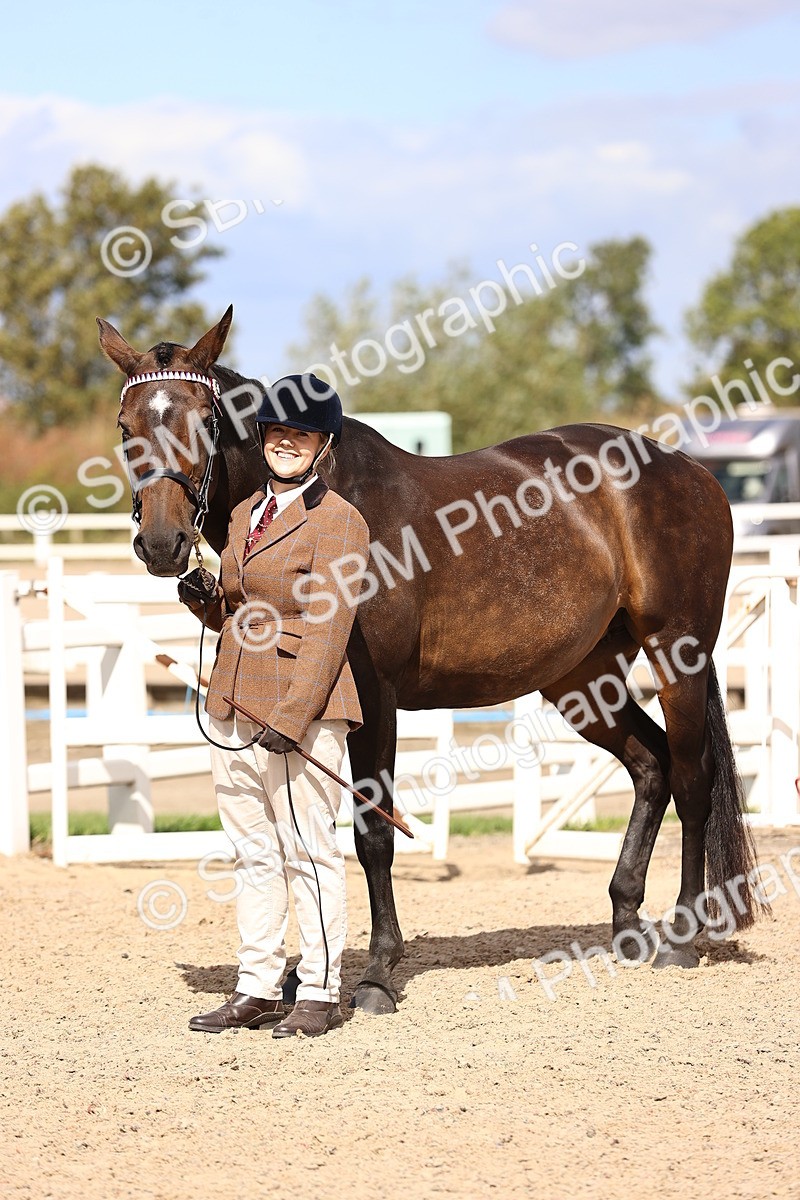SBM_14313 - Class 411 - Prettiest Mare (IH OR Ridden) Adult