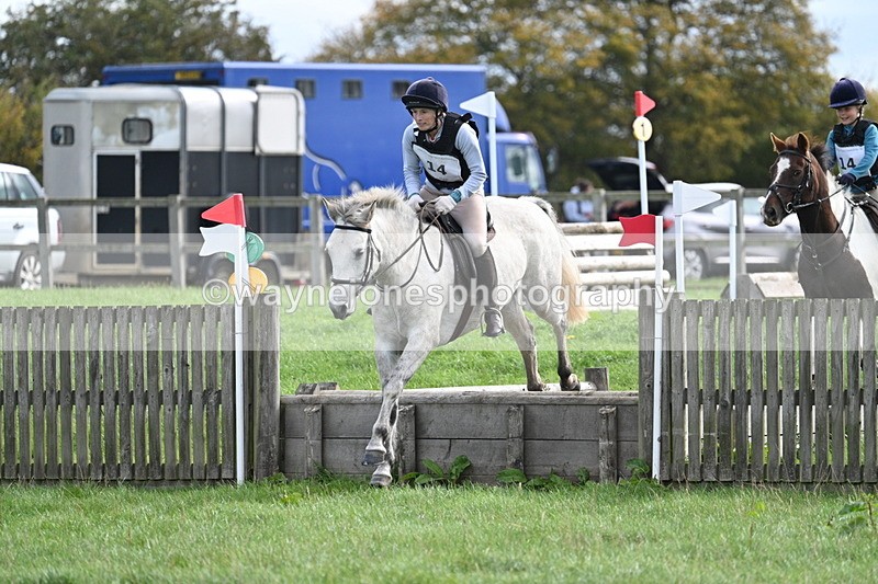 WJ7_8437 - 60cm Pairs