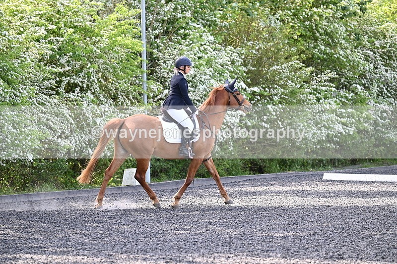 WJ7_7895 - Time 10:11 to 10:27