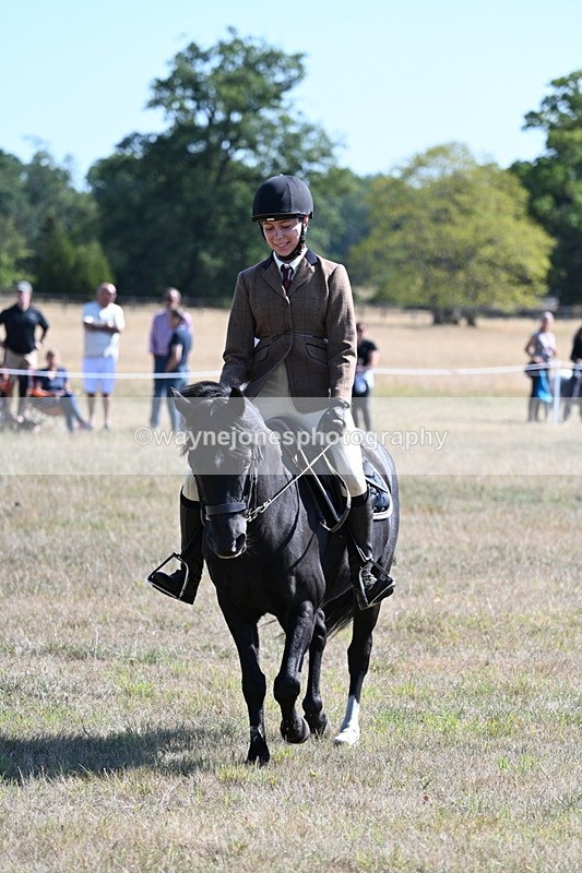 WJ7_3786 - Class 9 Mountain & Moorland Ridden