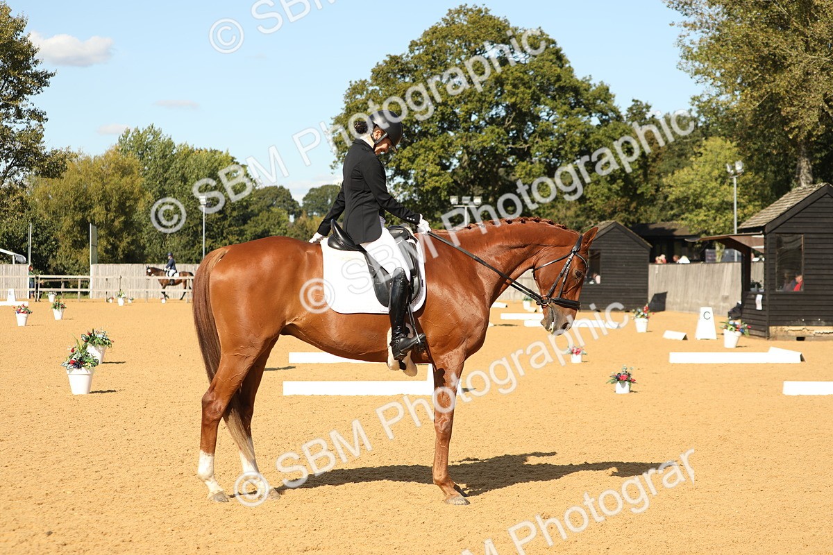 SBM_24637 - D17 - Grand Tour Championship - Novice 27