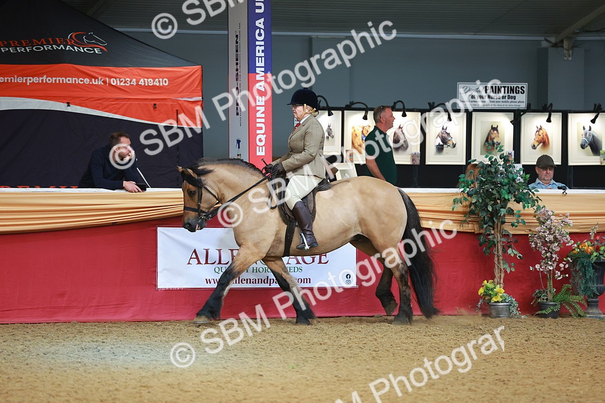 SBM_09477 - Class 102 - HOYS Veteran Qualifier - Ridden Veteran