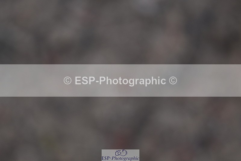 240622A-133028-10834 - Cls 37 BD Music Adv Medium