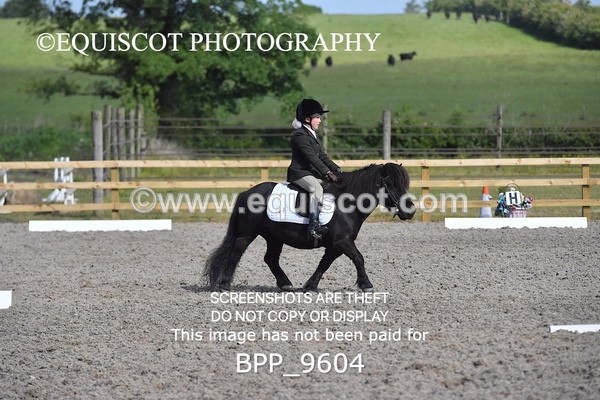 BPP_9604 - SHORT ARENA MY QUEST INTRO