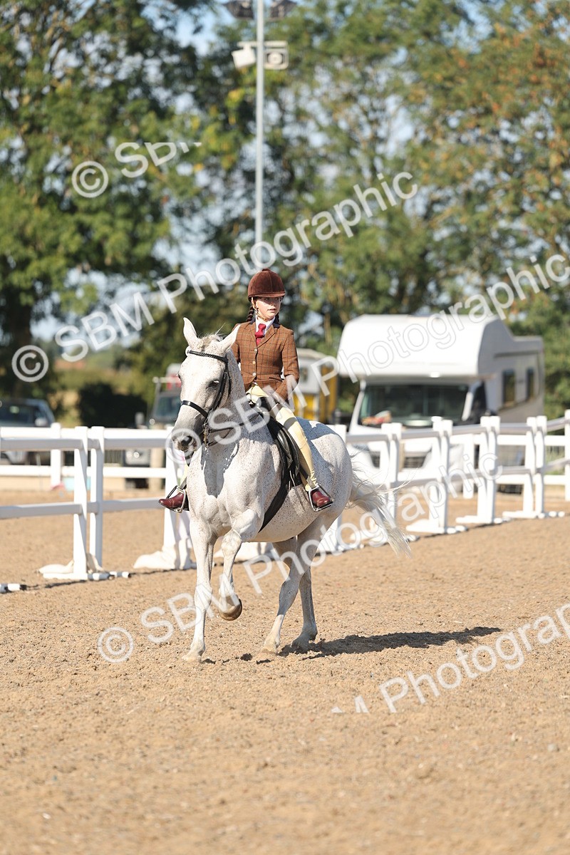 SBM_12347 - Class 304 - Ridden part Bred Horse Pony