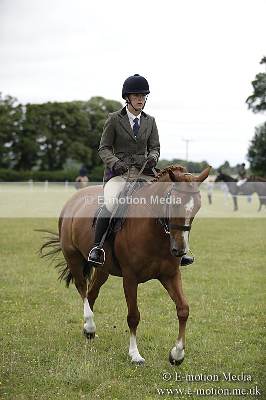 BVR160717-790 - Ring 1 BVRC Show 16/07/17