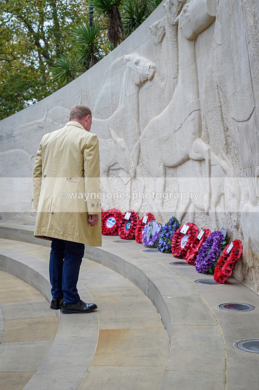 NGP_8225 - 2024 Animals in War Remembrance Gathering