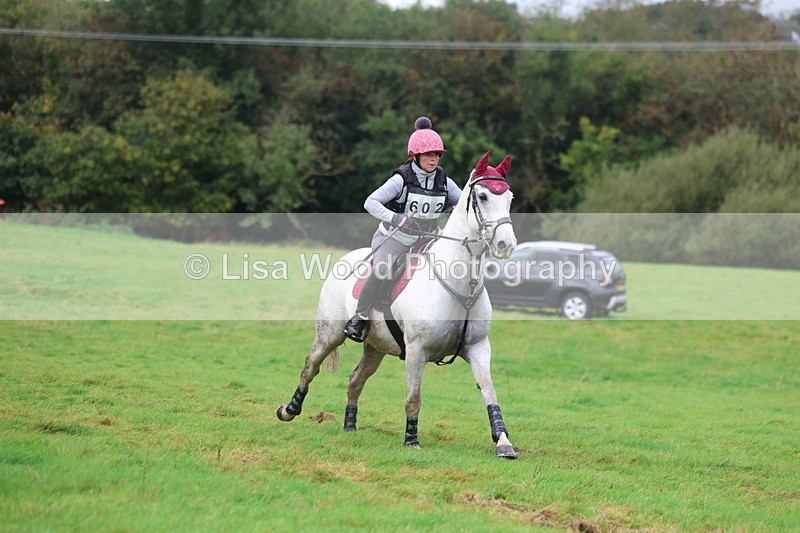 3E7A2150 - Class 6: 90cm +: Box