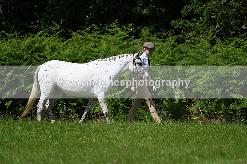 WJ7_1510 - Class 11 Condition & Turnout