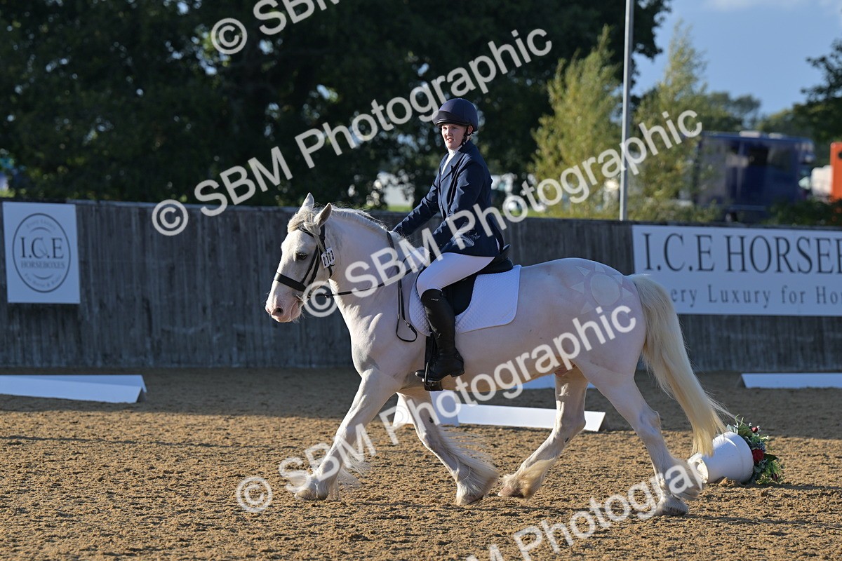 SBM_13183 - D3 - Small Tour Championship Intro 3