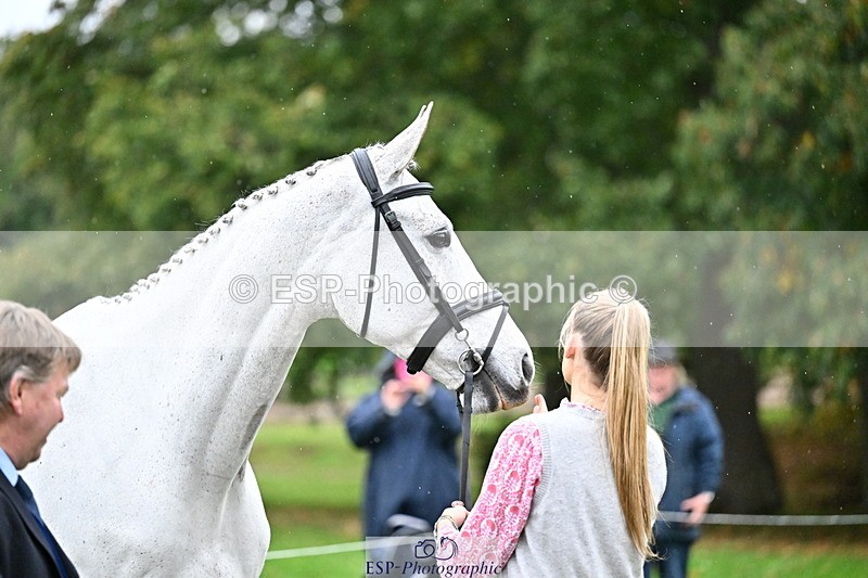 251022A-160833-00719 - A-011-Tara.Moore