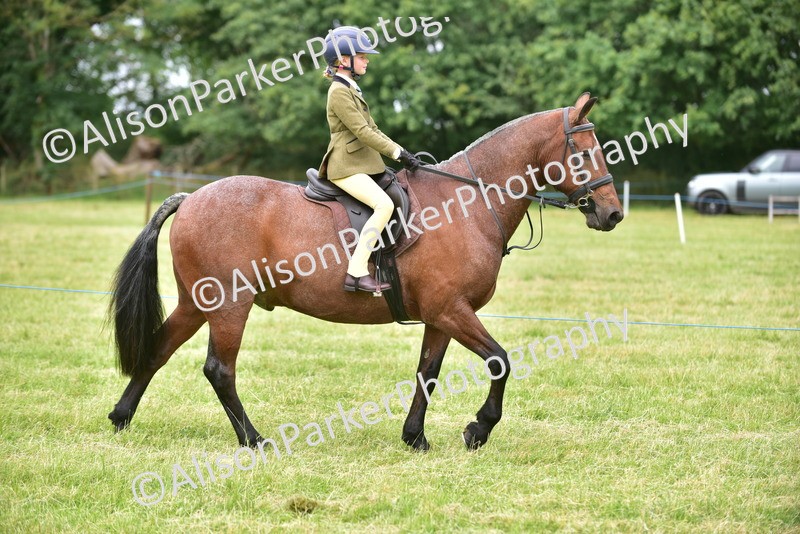 20260614-2669 - Class 13 - Pony Club Pony