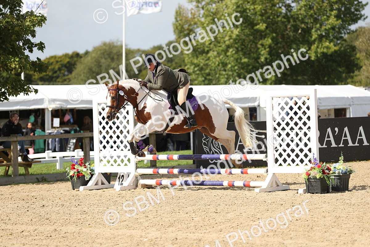 SBM_05765 - J35 - Veteran Rider 60cm