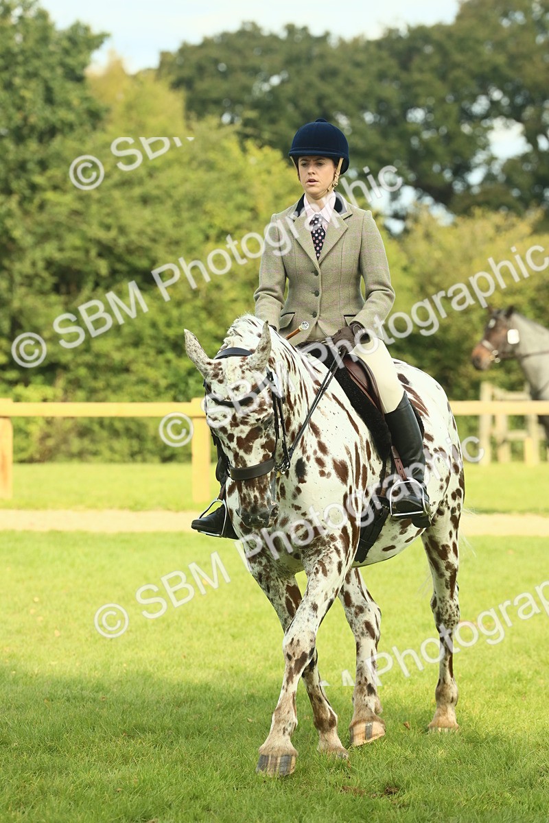 SBM_62487 - S62 - Foreign Breeds Ridden